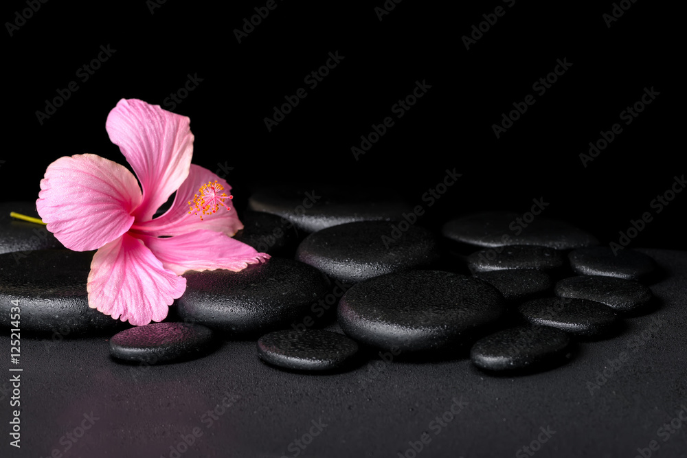 spa concept of pink hibiscus flower on zen basalt stone with dro - obrazy, fototapety, plakaty 