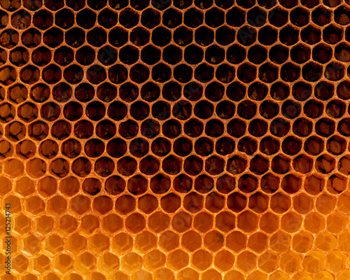 Closeup raw organic Honeycombs . Newly pulled honey bee honeycom