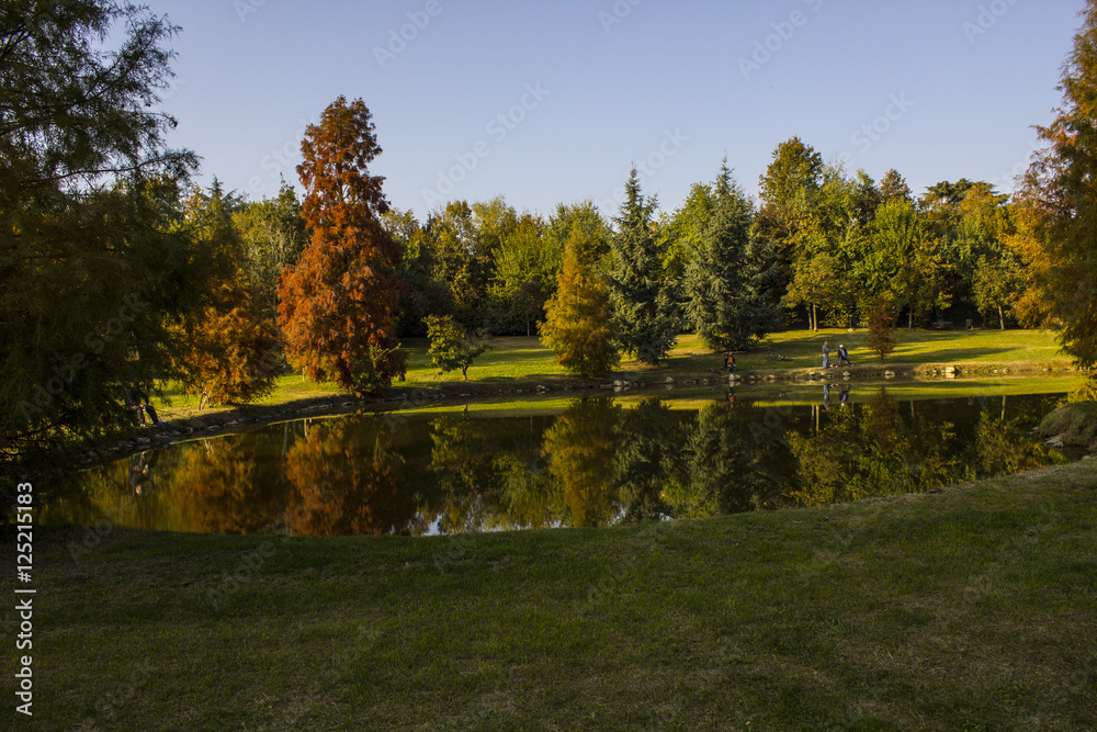 autunno nel parco