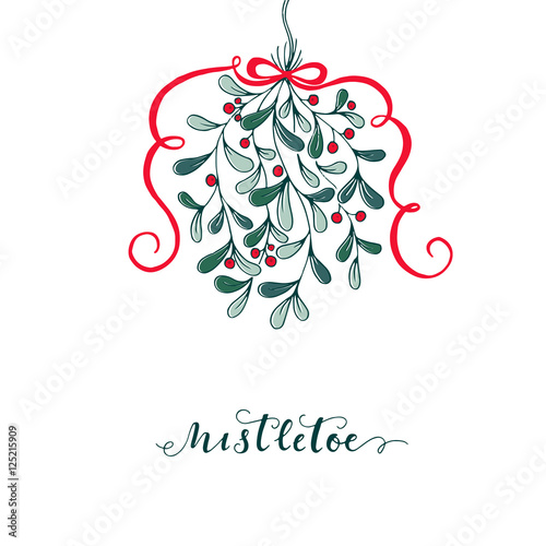 Hand drawn mistletoe. Vector Christmas plant background. Romantic Christmas illustration. Greeting card design. Vector mistletoe.Vector template.