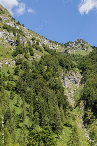 Berglandschaft am Beginn des Tals Valle del Vescova; Bellunesische Nationalpark, Dolomiten, Sommer
