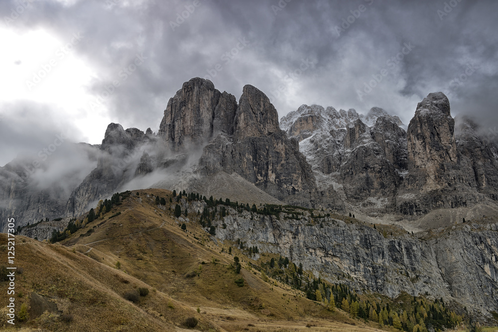 Dolomite Mountains and Forest