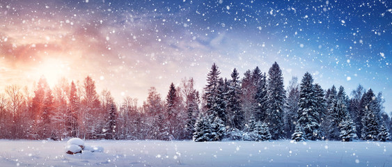 Beautiful tree in winter landscape in late evening in snowfall