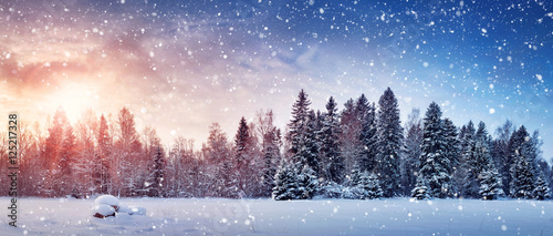 Fototapeta Piękny drzewo w zima krajobrazie w opóźnionym wieczór w opadzie śniegu