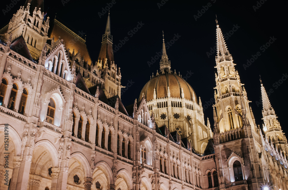 View of the Parliament architectural elements in Budapest at night.