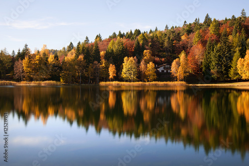 Autunno - Val di Cembra