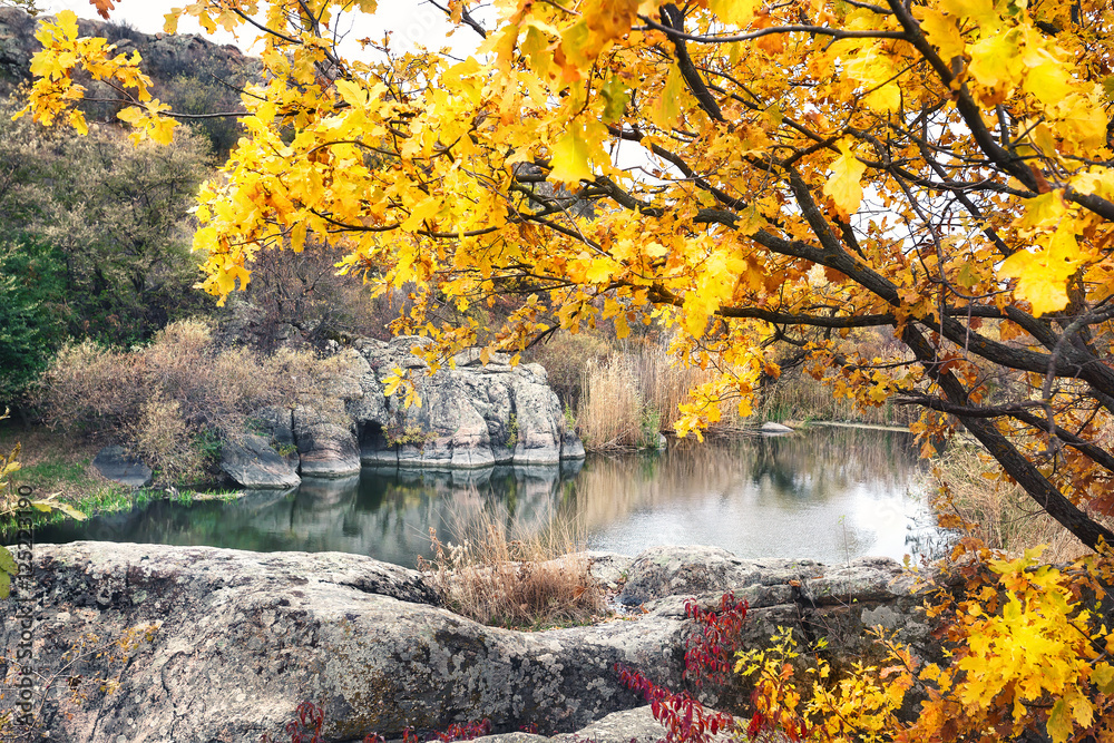 Lake in mountains under yellow tree Lake in mountains under yellow tree