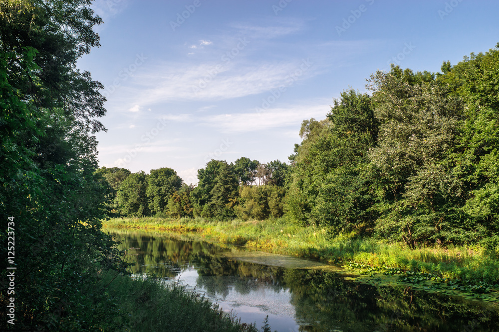 Natural landscape with river, forest and sky with clouds Natural landscape with river, forest and sky with clouds