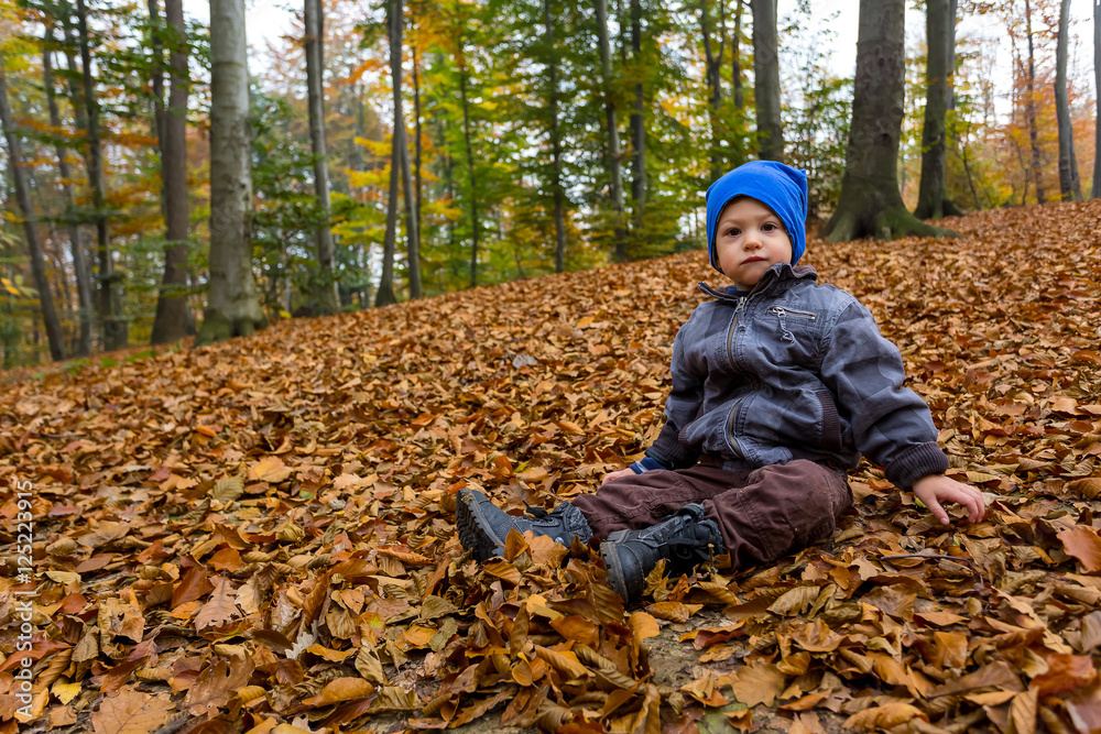 young child in the autumn forest sitting on the foliage young child in the autumn forest sitting on the foliage