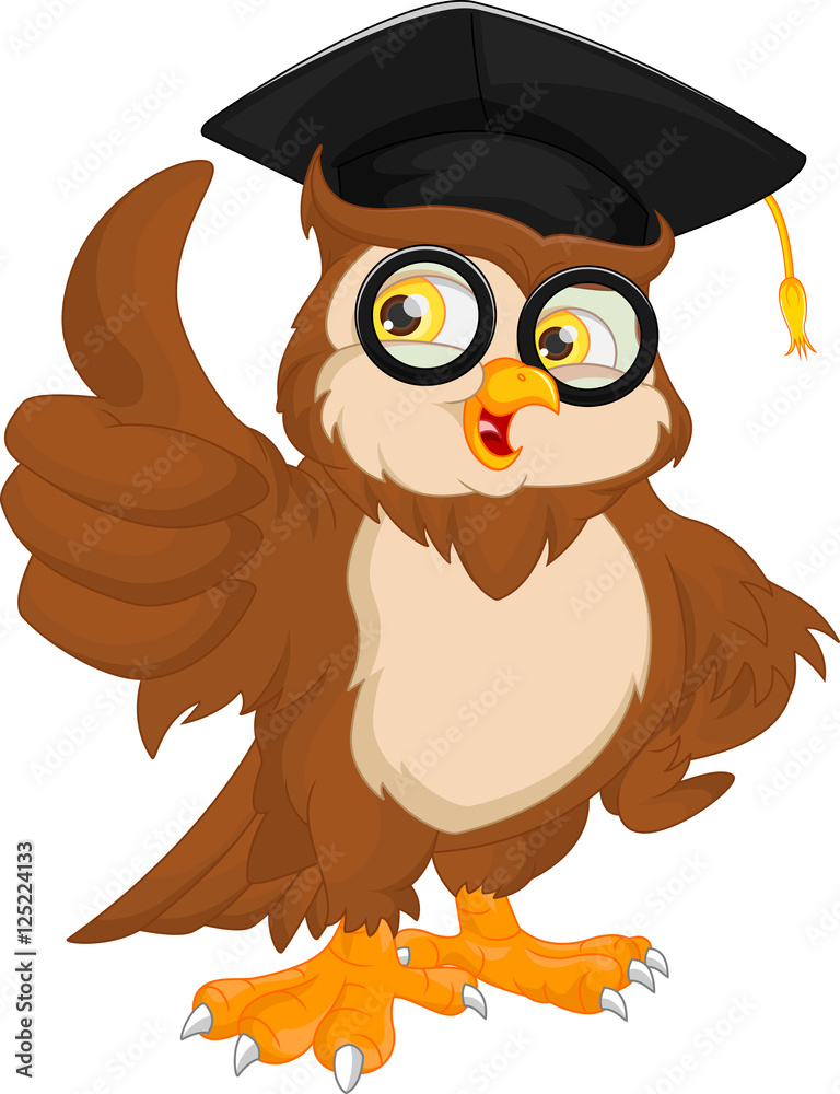 Obraz premium sowa w czapce ukończenia szkoły