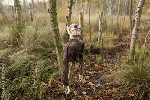 Zombie im Moor