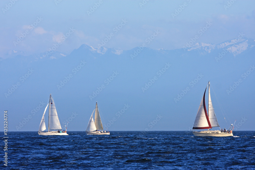 Yachts off Vancouver Island