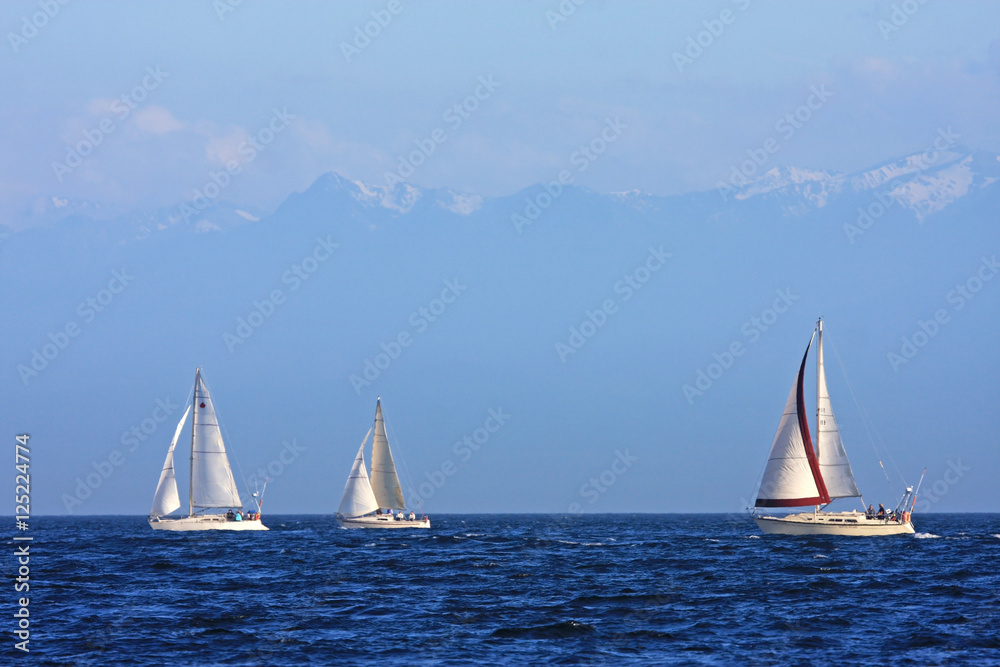 Fototapeta premium Yachts off Vancouver Island