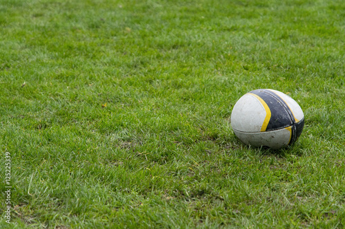 rugby ball lying on the grass