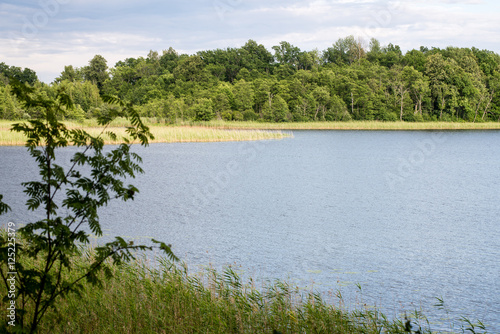 Reflections in the calm lake water