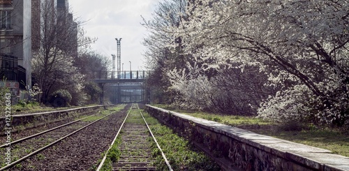 Photography Petite ceinture de paris un jour de printemps