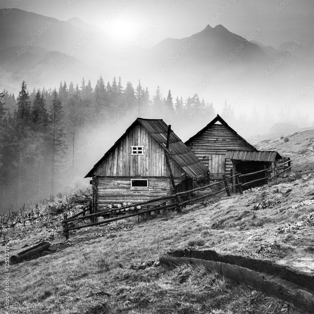 Obraz premium Górska wioska karpacka. Czarny i biały
