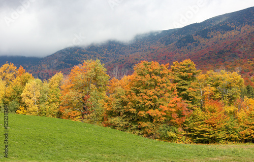 Beautiful Autumn Foliage at Stowe, Vermont