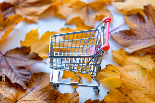 cart with autumn maple leaves