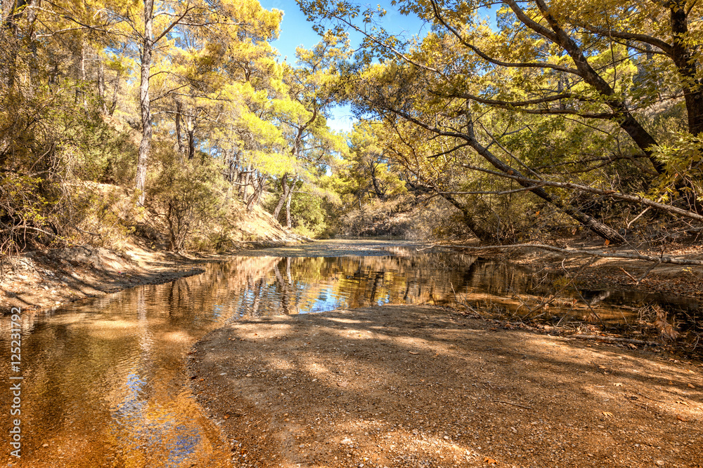Small river in the forest. Beautiful landscape with trees reflec Small river in the forest. Beautiful landscape with trees reflec