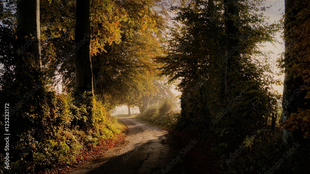 Fototapeta premium Lumière automnale