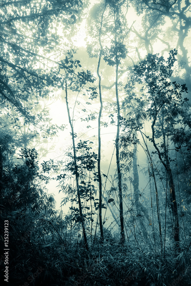 Naklejka premium Surreal colors of fantasy landscape at mystical tropical mossy forest with amazing jungle plants. Concept for mysterious nature and fairy tale background