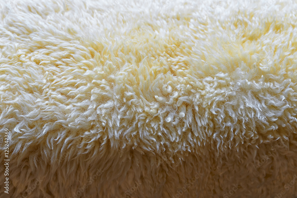 Fototapeta premium Wool texture as background.