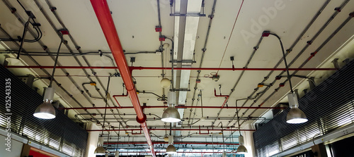 Bare skin ceiling; show  lighting design, electrical system and fire protection system.