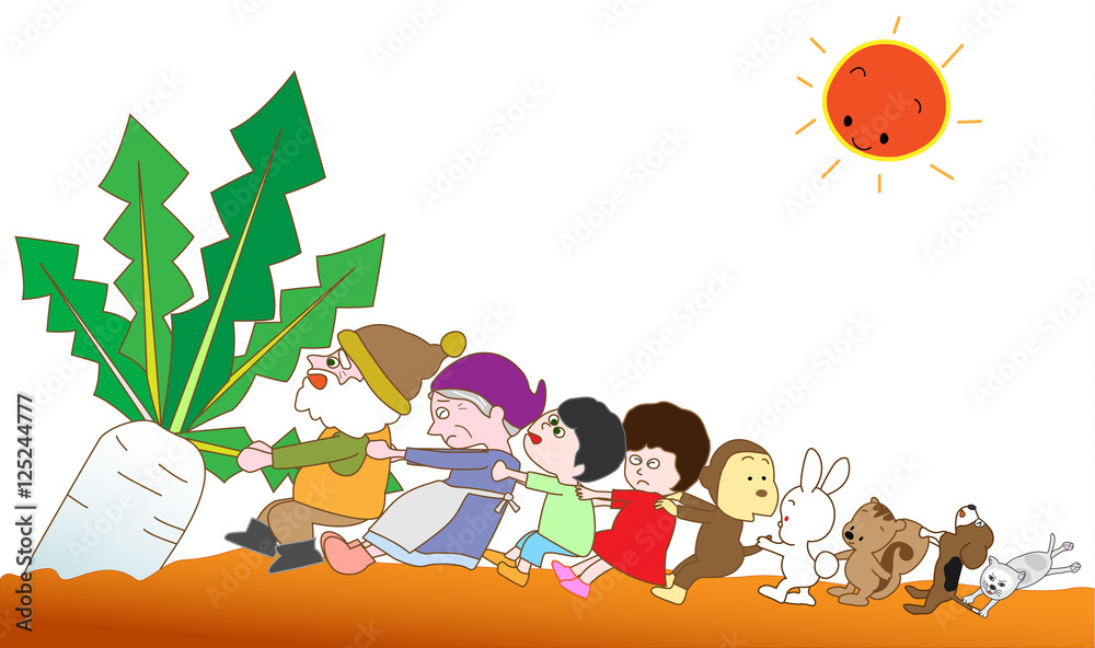 Fototapeta premium ダイコンの収穫