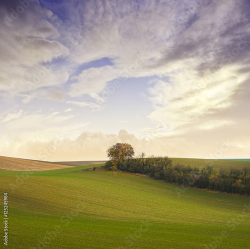 autumnal landscape - Europe, Czech Republic , Moravia, Kyjov