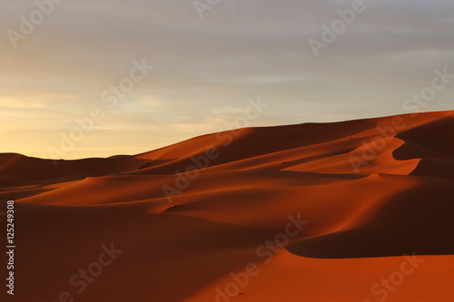 Fototapeta Naklejka Na Ścianę i Meble -  サハラ砂漠