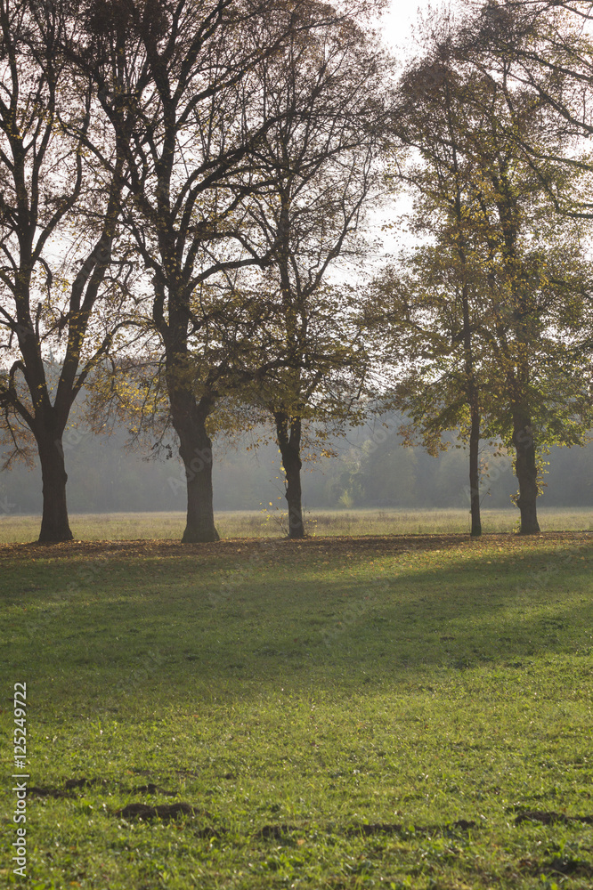 Melancholisches, leicht nebliges Herbstwetter am Morgen Melancholisches, leicht nebliges Herbstwetter am Morgen