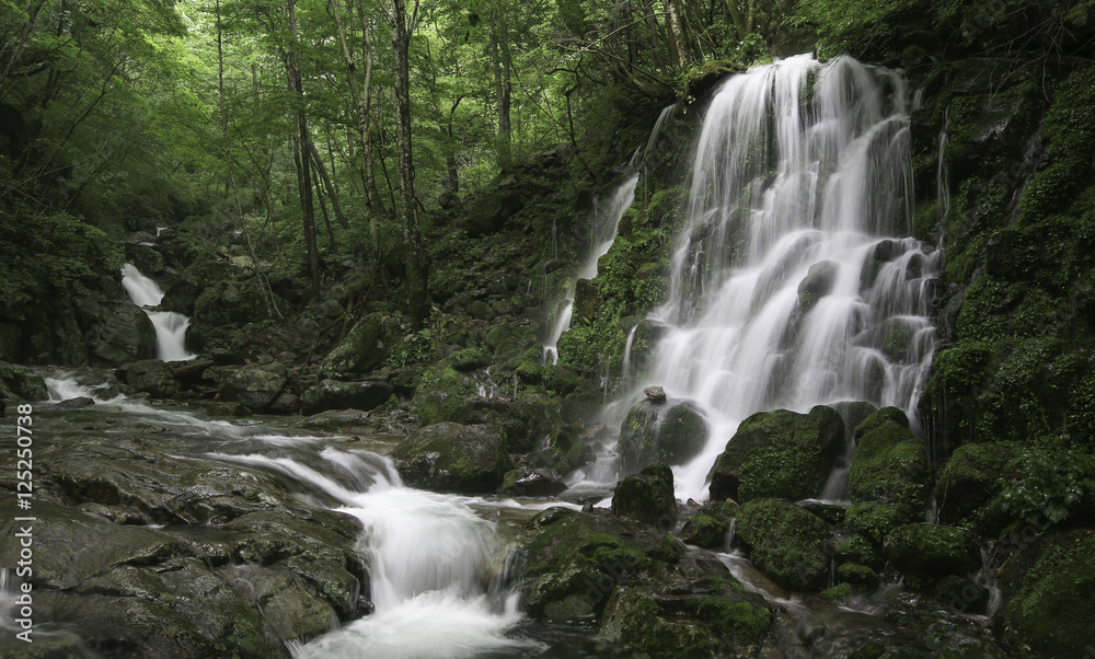 Fototapeta premium 실비단폭포