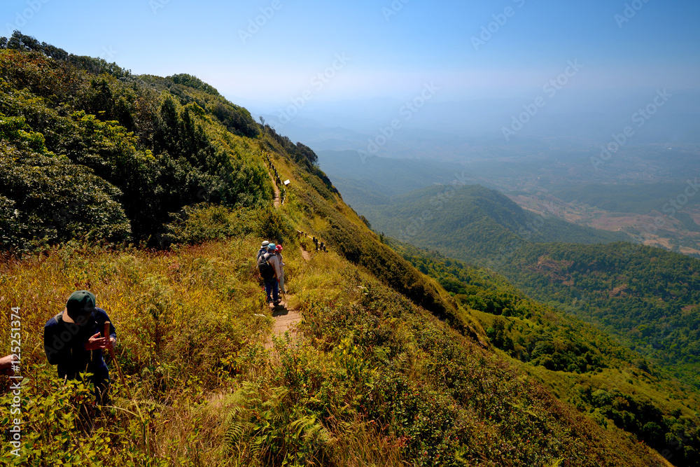 Thailand Landscape : Doi Inthanon nature walking trail, Chiang Mai