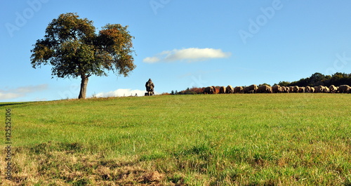 Schäfer mit seinen Hunden in herbstlicher Landschaft photo