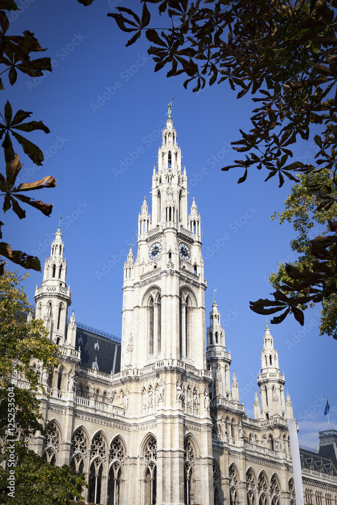 the town hall in Vienna Austria