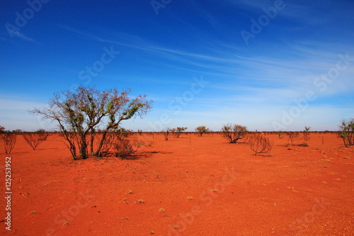 Burnt desert in Australia photo