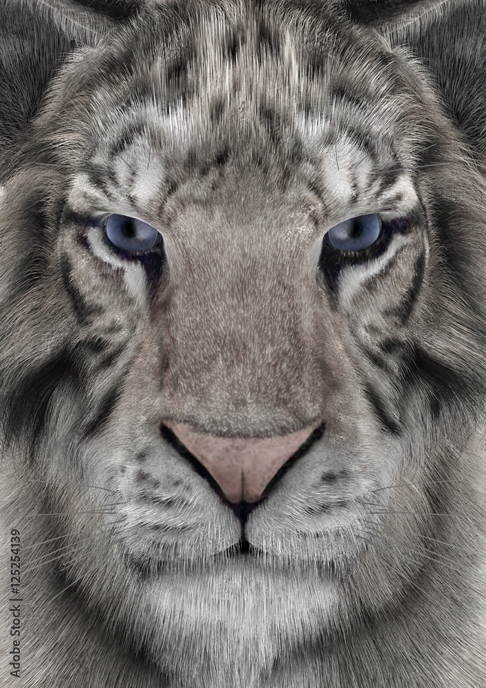 Obraz premium 3D Rendering White Tiger