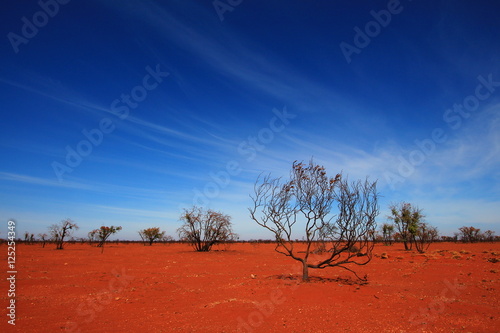 Burnt desert in Australia photo