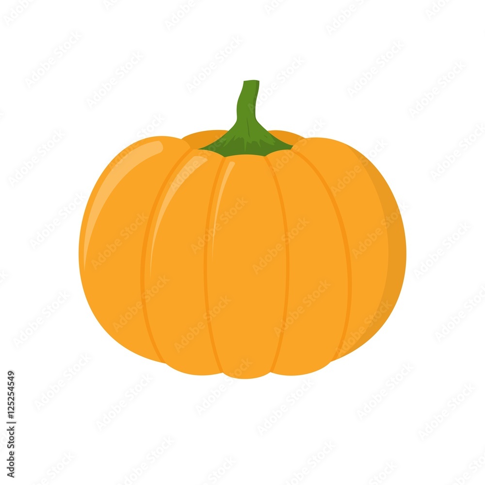 Pumpkin isolated on white background. Pumpkin isolated on white background.