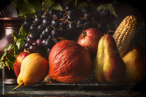 Fototapeta Naklejka Na Ścianę i Meble -  Still life with autumn fruits and vegetables: apples, pears, grapes, pumpkins, corn on the cob on dark rustic table, close up
