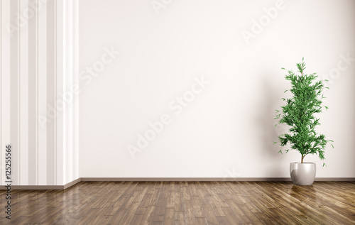 Fototapeta Naklejka Na Ścianę i Meble -  Interior background of room with plant 3d rendering