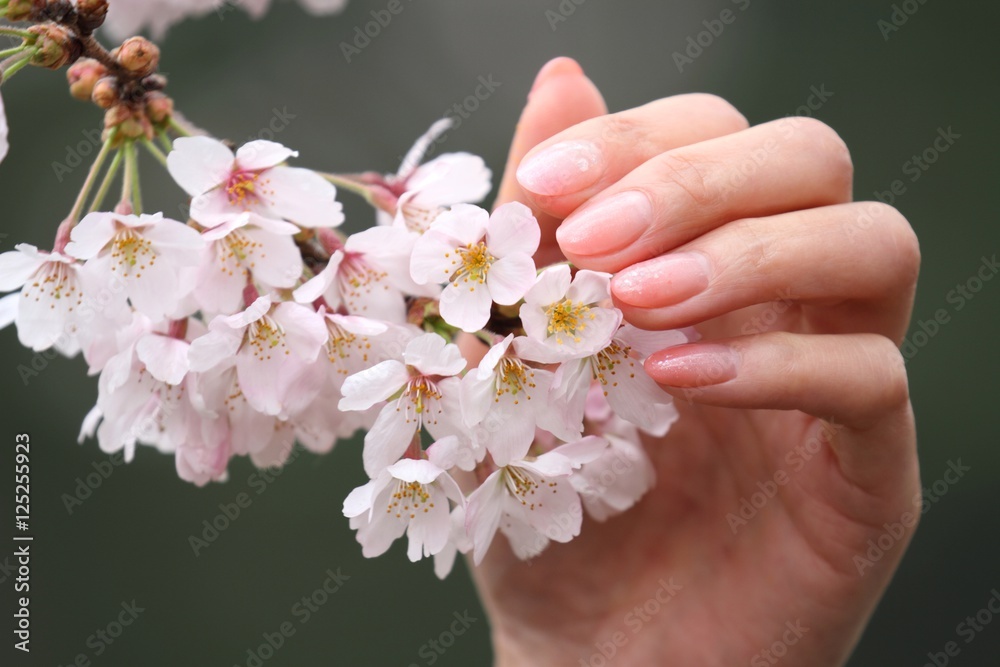 桜とネイル 桜とネイル