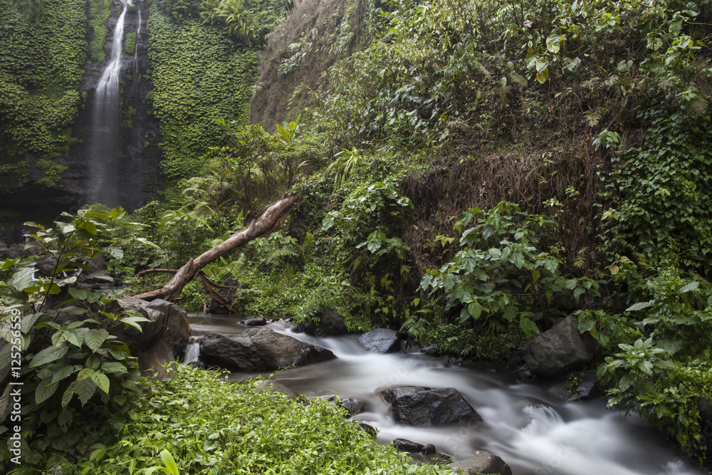 Obraz premium Beautiful waterfall in tropical forest in Bali, Indonesia with slow shutter speed