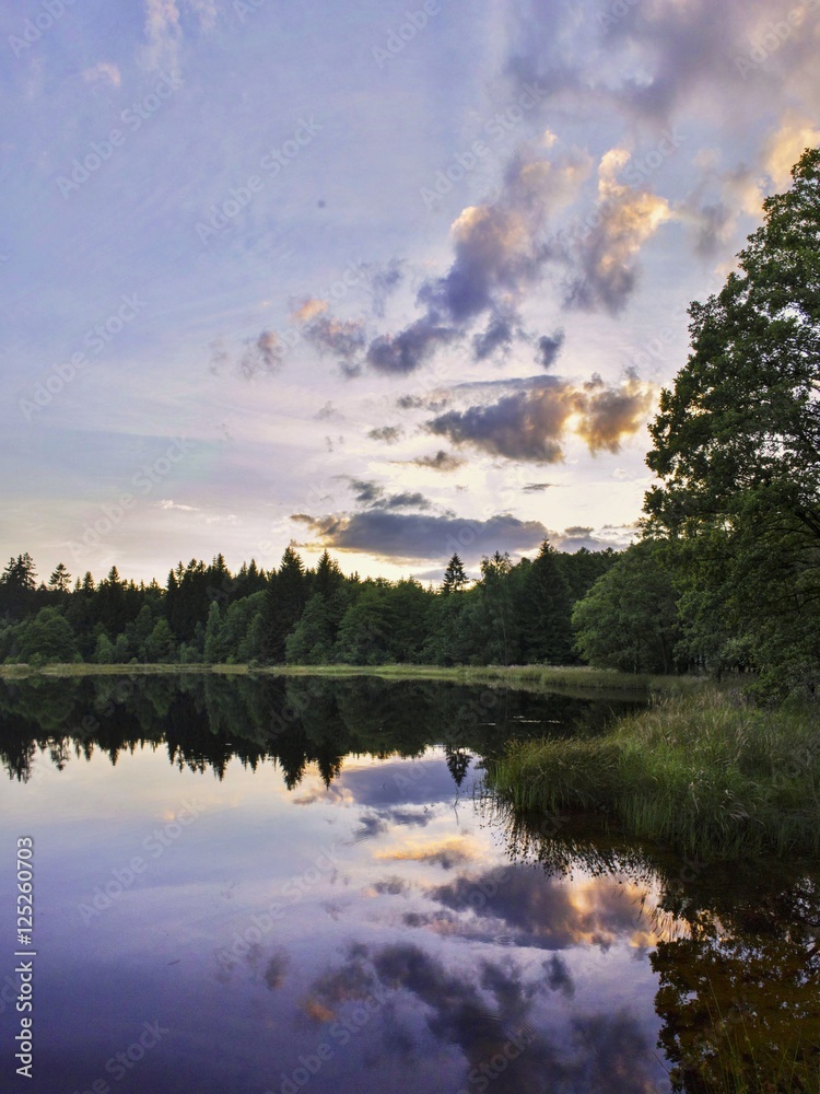 Fototapeta premium Pond sunset reflection