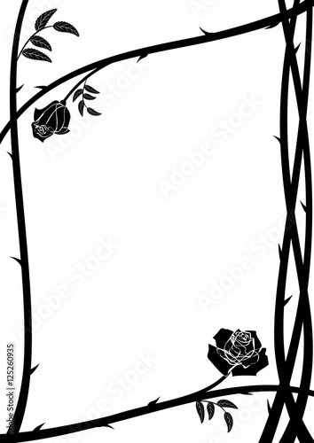 frame with roses