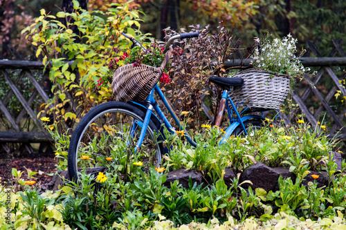 Fahrrad im Blumenmeer
