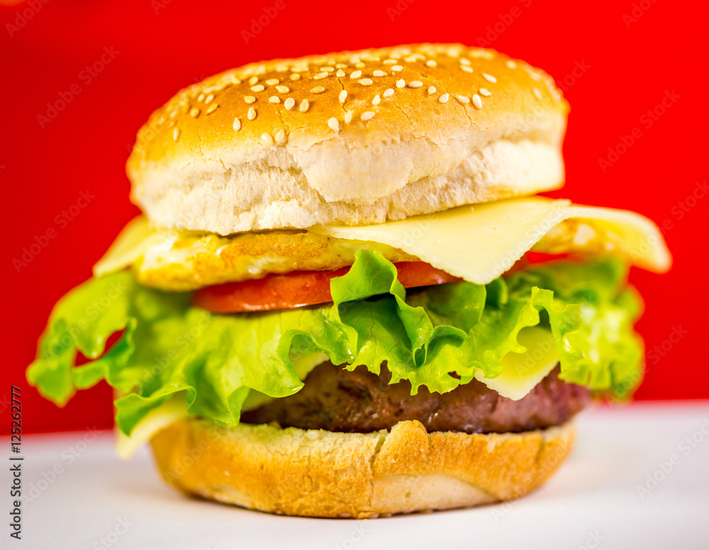 Hamburger with a Red Background Hamburger with a Red Background