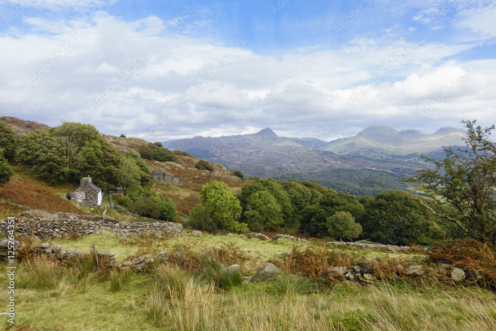 Fototapeta premium Remote cottage in hills of Snowdonia Wales UK