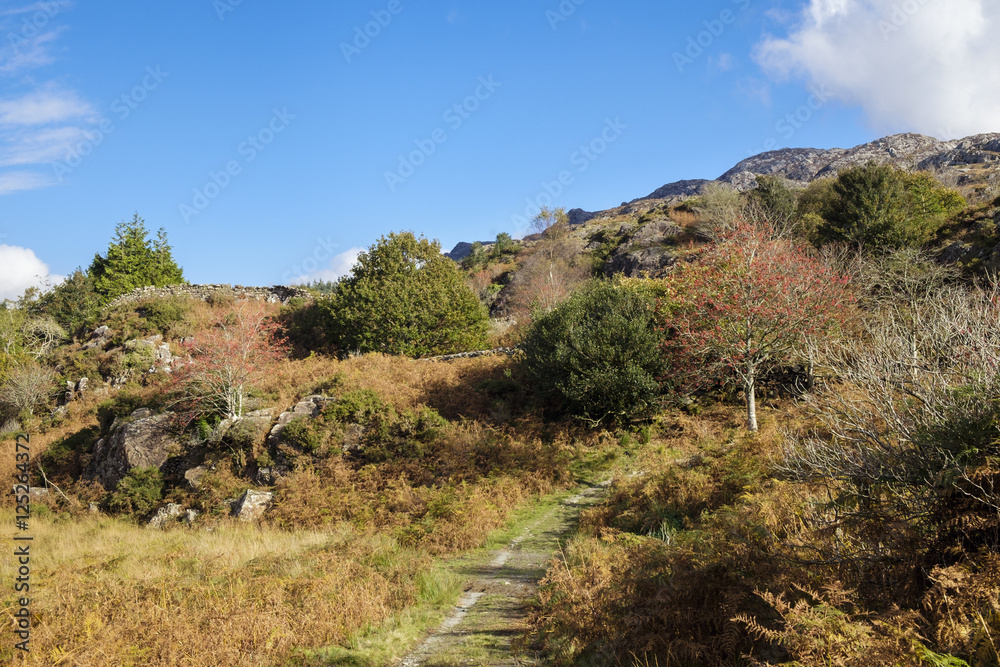 Country path in Snowdonia National Park in autumn. Wales, UK Country path in Snowdonia National Park in autumn. Wales, UK